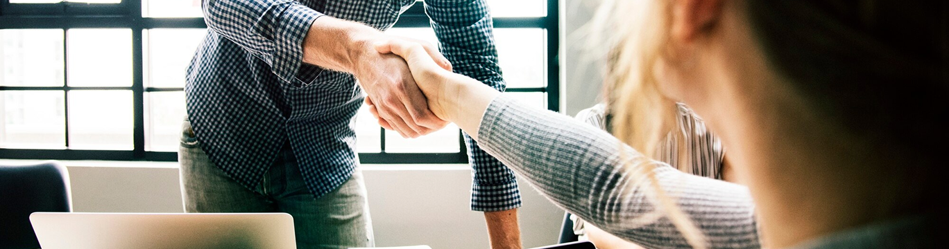 Profesionales estrechando la mano